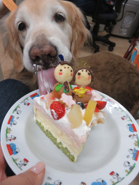 ファイル 6571-2.jpg