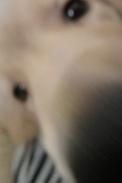 ファイル 6571-3.jpg