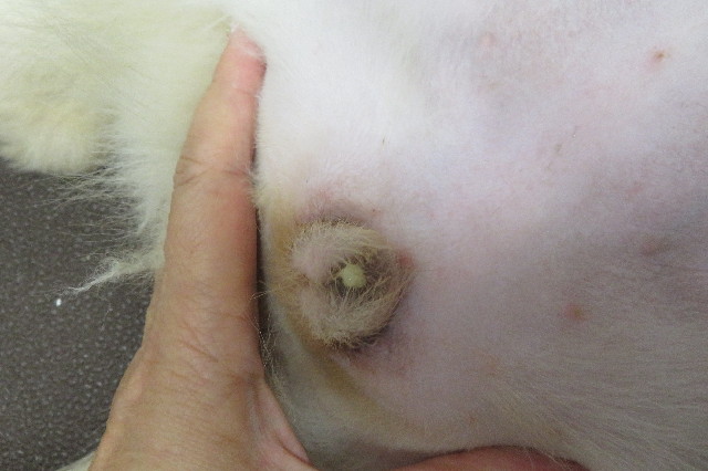 ファイル 6572-3.jpg