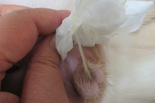 ファイル 6572-4.jpg