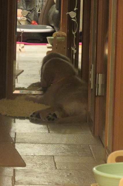 ファイル 6573-1.jpg