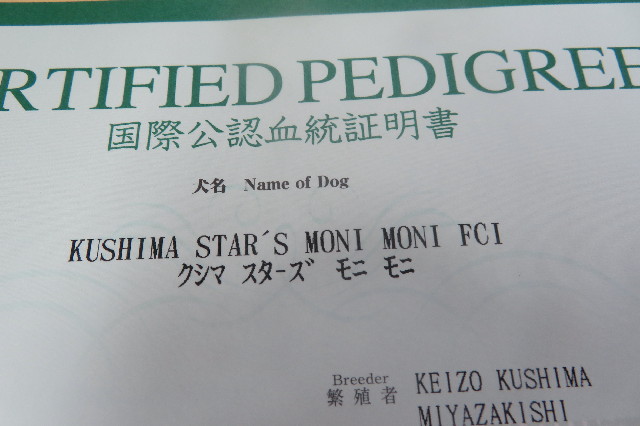 ファイル 6573-5.jpg