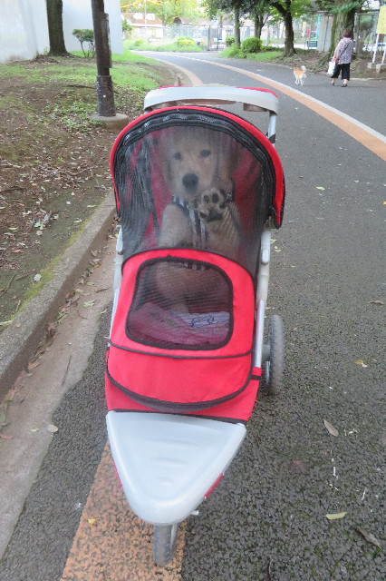 ファイル 6580-3.jpg