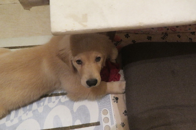 ファイル 6582-2.jpg