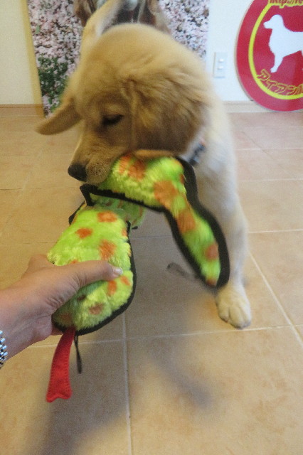 ファイル 6586-4.jpg