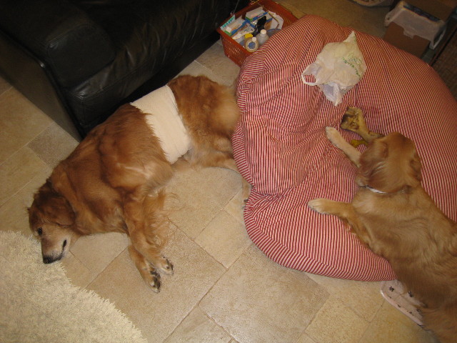 ファイル 659-3.jpg