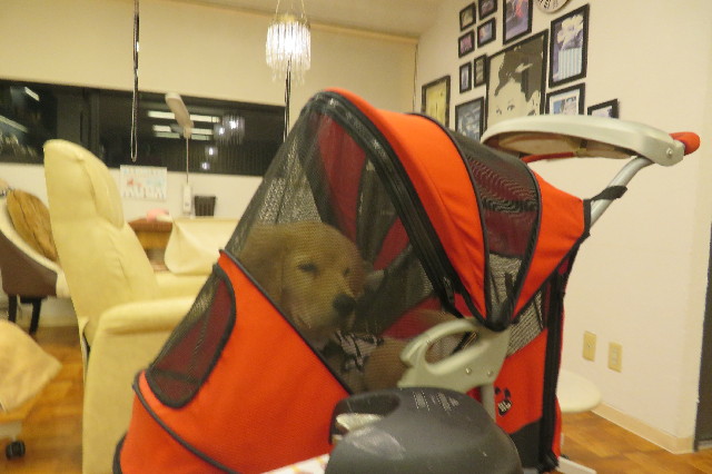 ファイル 6593-2.jpg