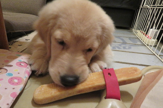 ファイル 6593-4.jpg