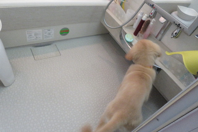 ファイル 6594-5.jpg