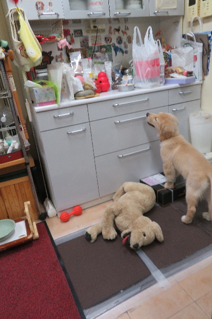 ファイル 6598-3.jpg