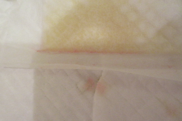 ファイル 6600-1.jpg