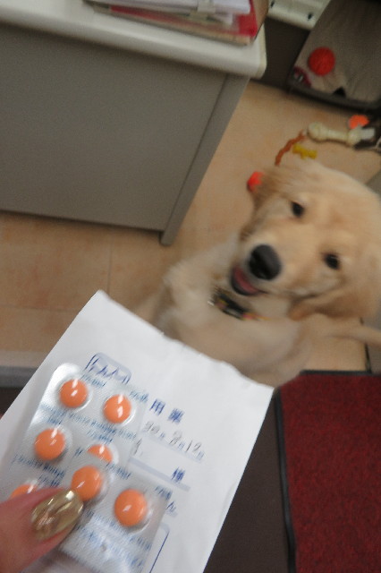 ファイル 6600-5.jpg