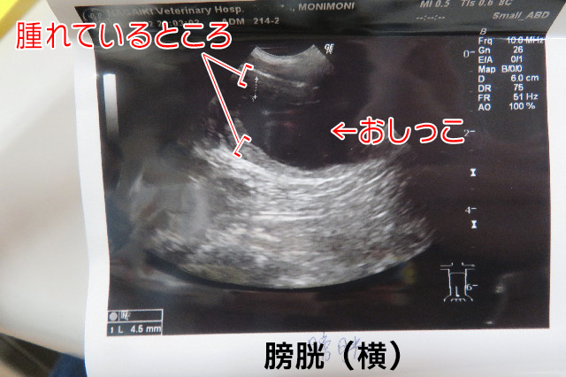 ファイル 6601-3.jpg