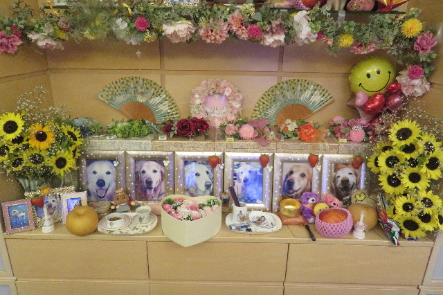 ファイル 6602-1.jpg