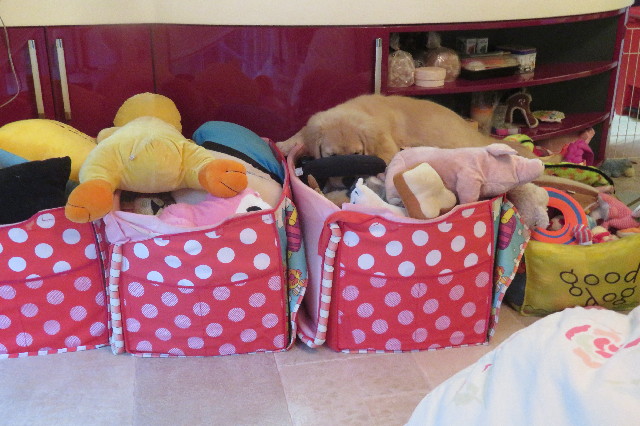 ファイル 6602-4.jpg