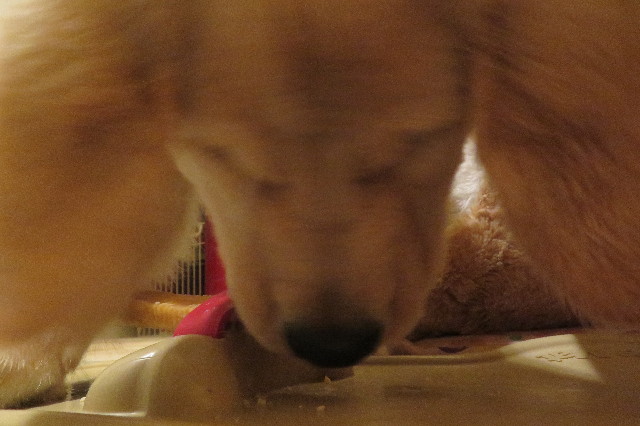 ファイル 6603-2.jpg