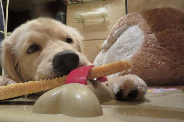 ファイル 6603-3.jpg