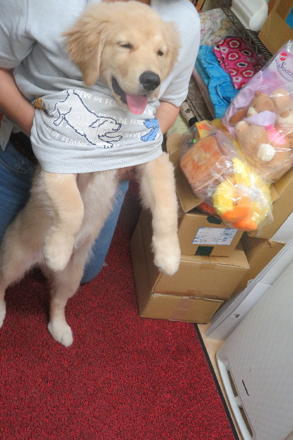 ファイル 6603-4.jpg