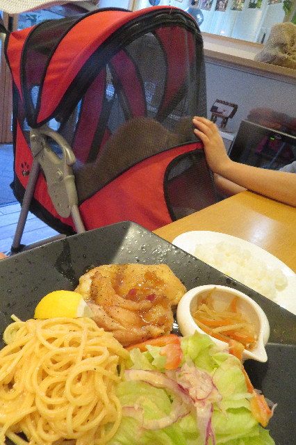 ファイル 6604-5.jpg