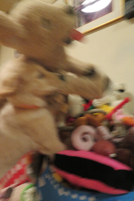 ファイル 6606-4.jpg