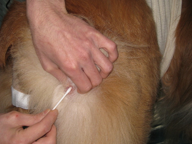 ファイル 661-2.jpg