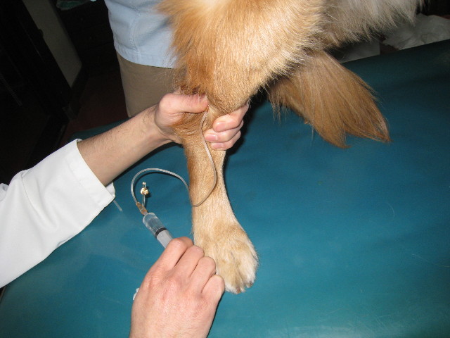 ファイル 661-3.jpg