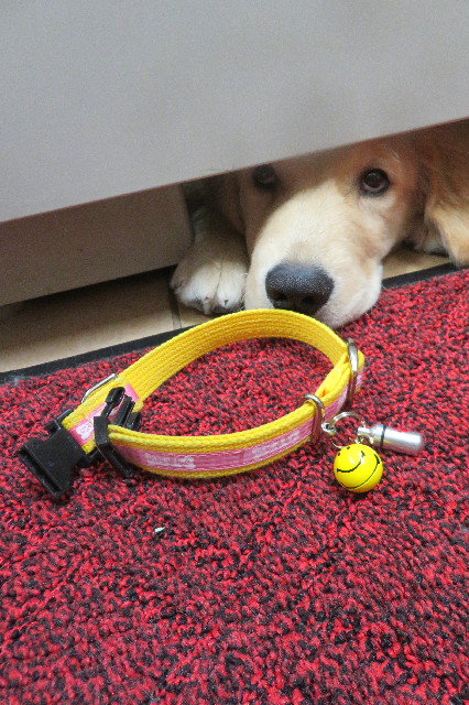 ファイル 6611-2.jpg