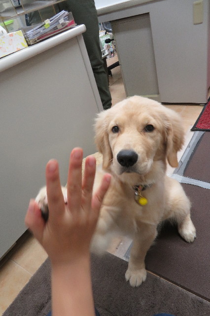 ファイル 6612-1.jpg