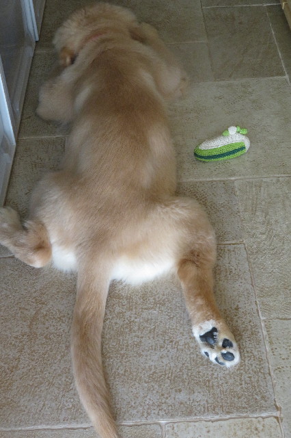 ファイル 6613-5.jpg