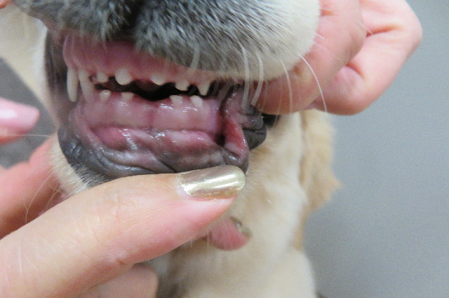 ファイル 6616-3.jpg