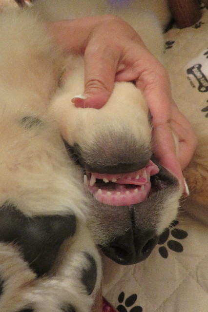 ファイル 6616-4.jpg