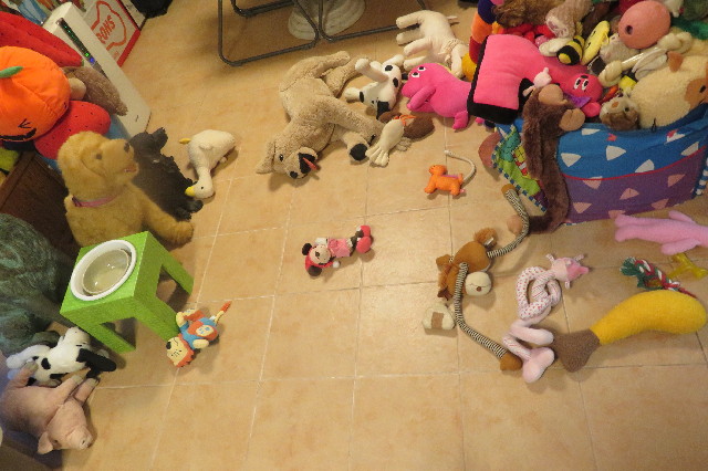 ファイル 6617-3.jpg