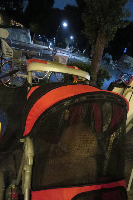 ファイル 6619-3.jpg