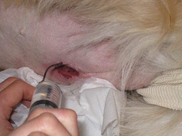 ファイル 662-2.jpg