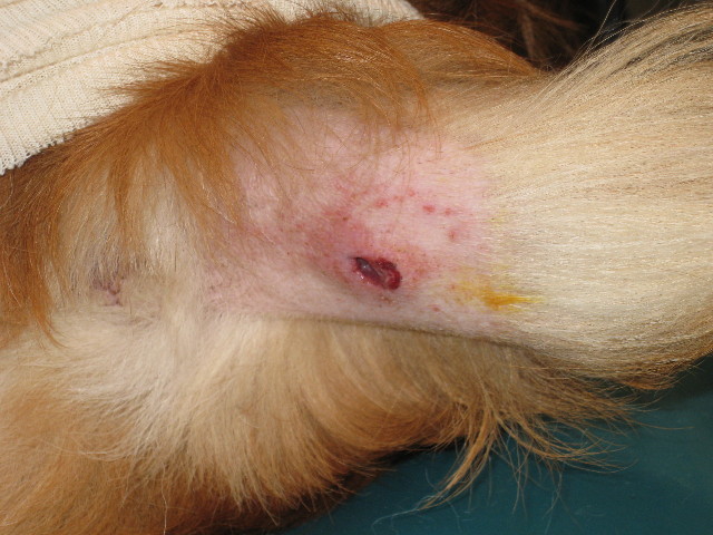 ファイル 662-3.jpg