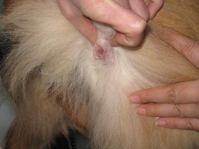 ファイル 662-5.jpg