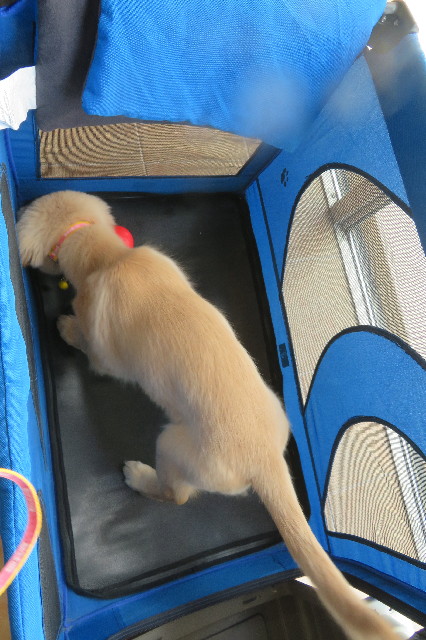 ファイル 6620-4.jpg