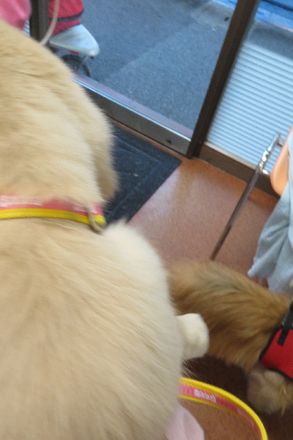 ファイル 6621-1.jpg