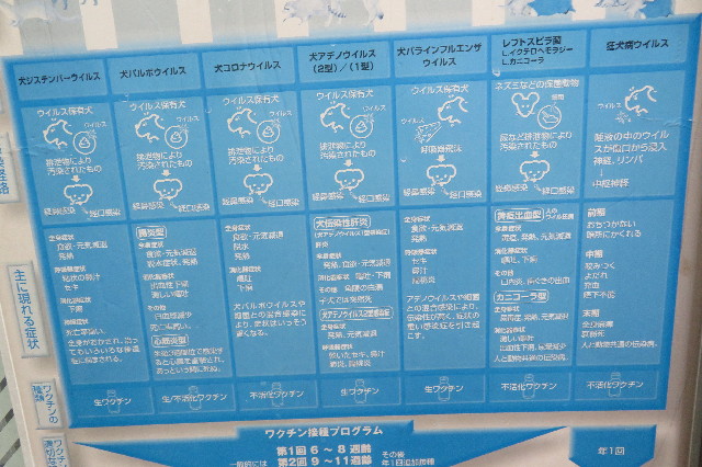 ファイル 6621-4.jpg