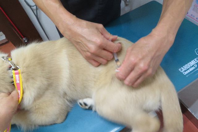 ファイル 6621-5.jpg