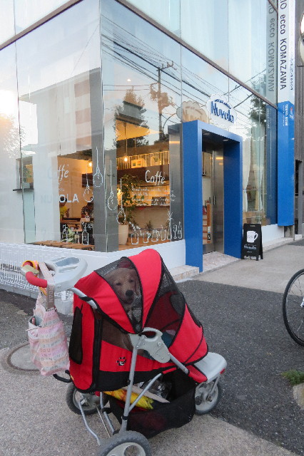 ファイル 6622-1.jpg