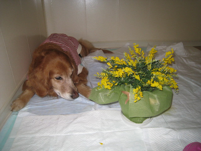 ファイル 663-2.jpg