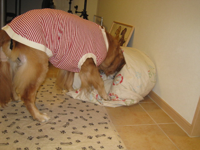 ファイル 663-3.jpg