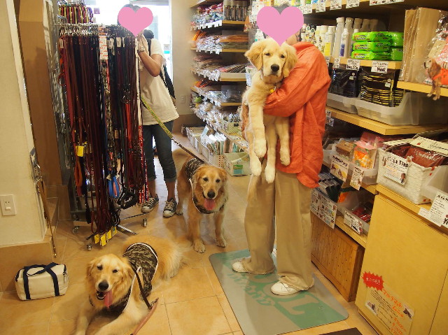 ファイル 6632-1.jpg