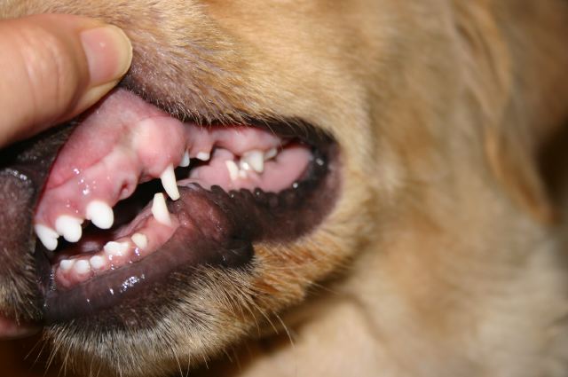 ファイル 6633-3.jpg