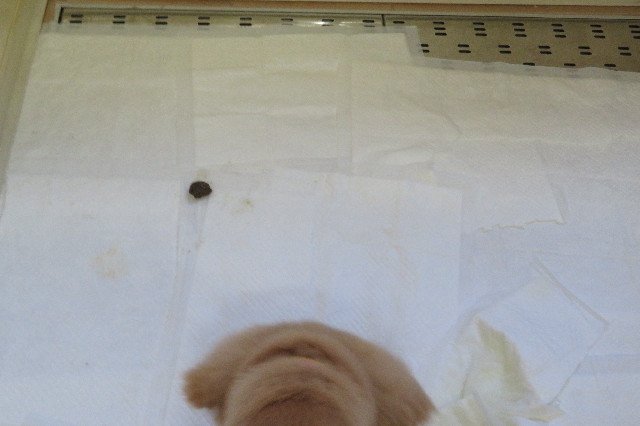 ファイル 6633-4.jpg