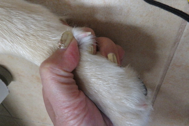 ファイル 6634-1.jpg