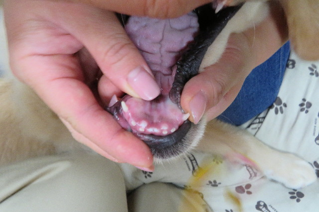 ファイル 6635-2.jpg