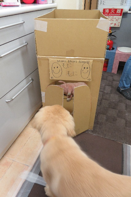 ファイル 6635-4.jpg