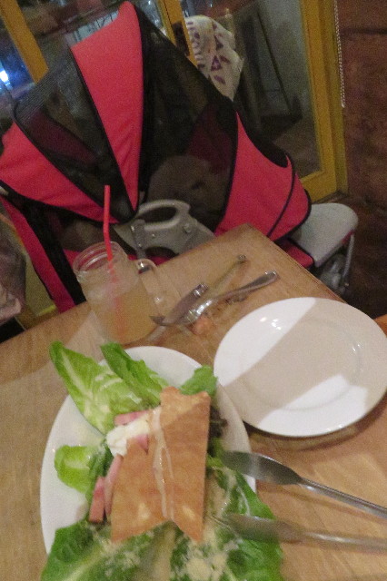 ファイル 6636-4.jpg